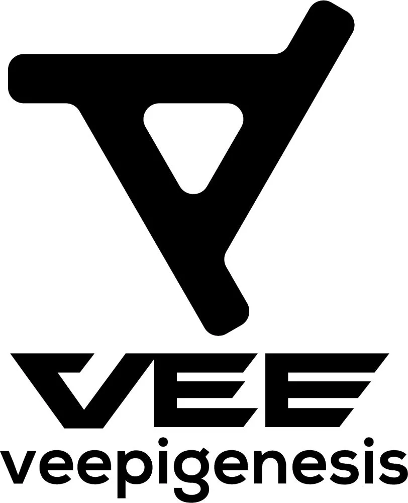 VEEプロジェクトロゴ